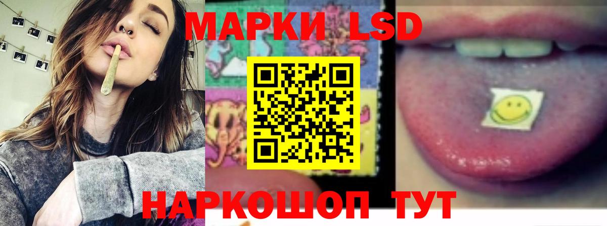 Курчалой  Лсд 25 экстази кислота  MEGA онион  Вход с VPN  Лсд 25 экстази ecstasy 